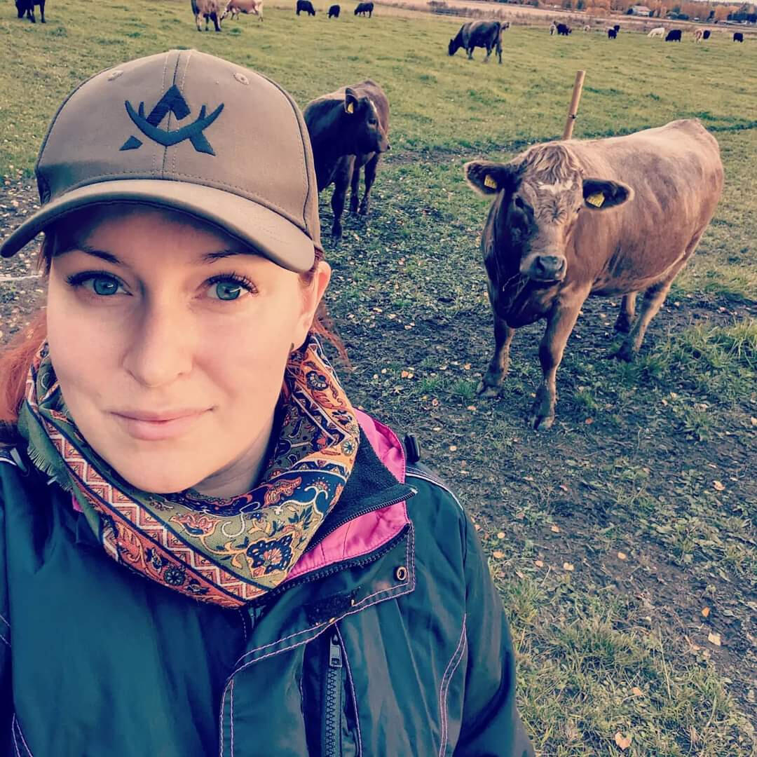 Laura ja lammas